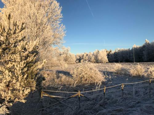H�gadalens Hostel & Vandrarhem