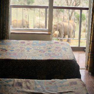 Hotel Ngulia Safari Lodge