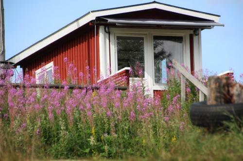 Bj�rkebo Camping