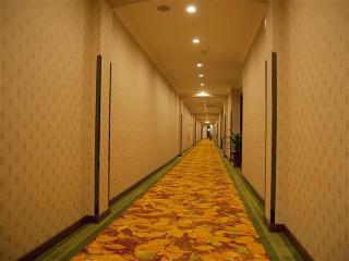 Hotel Greentree Inn Shanghai Minhang Development Zone Su