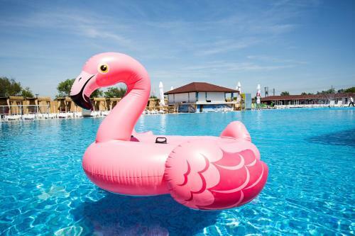Villa Flamingo Resort