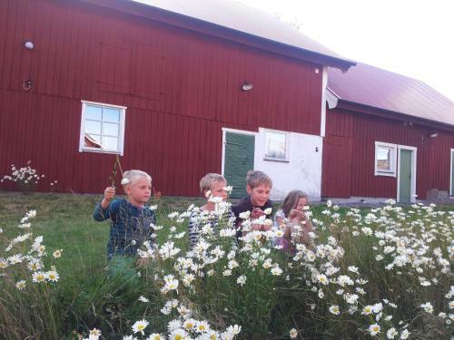 Bed & Breakfast Brunnsta G�rd