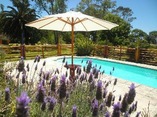 Bed & Breakfast La Posta de La Laguna