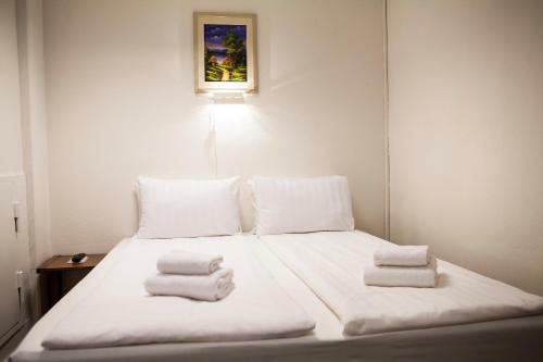 Hotel �lvsj�