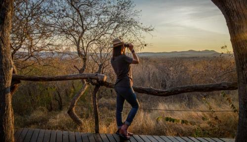 Madikwe Safari Lodge