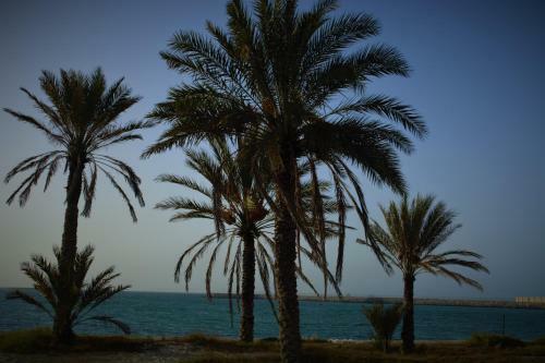 Villa Golden Tulip Al Jazira Bungalows