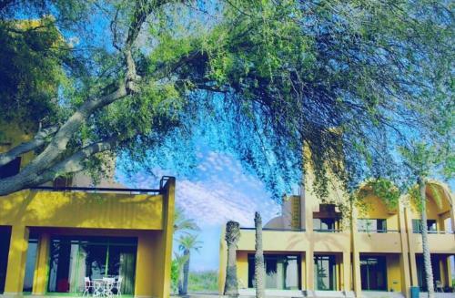 Villa Golden Tulip Al Jazira Bungalows