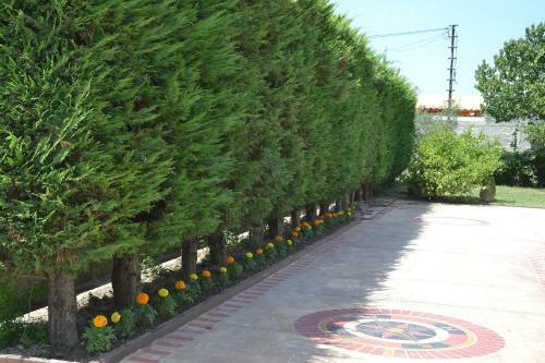Airport Garden Hotel