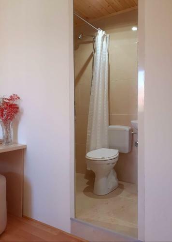 Hostal Guest House Zadeja