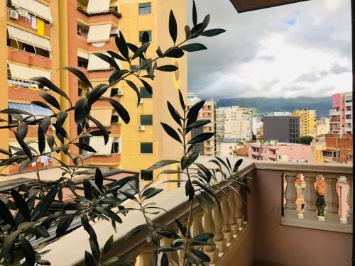 Opera Apartments - Choose Balkans