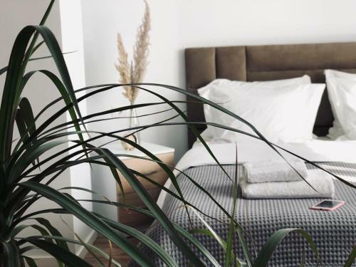 Opera Apartments - Choose Balkans