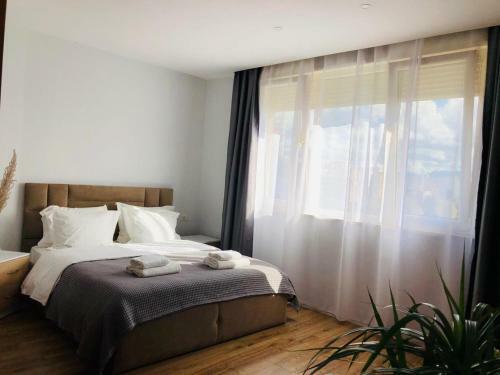 Opera Apartments - Choose Balkans