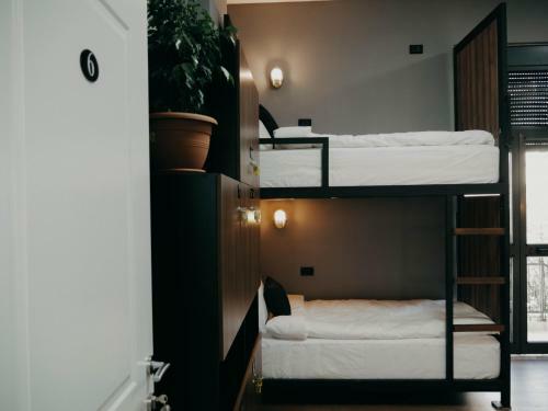 The Maze Hostel