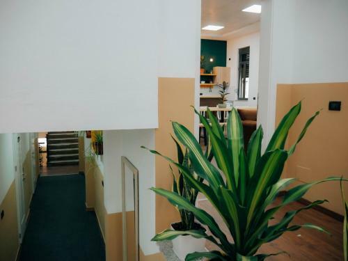 The Maze Hostel