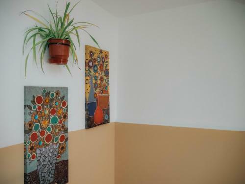The Maze Hostel