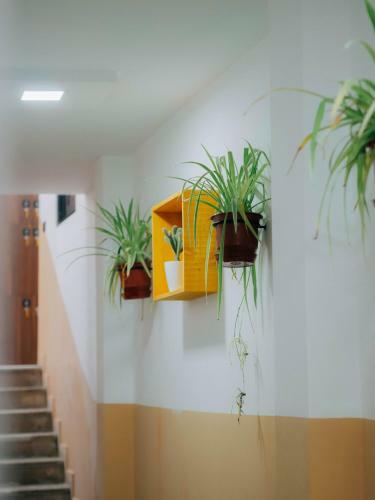 The Maze Hostel