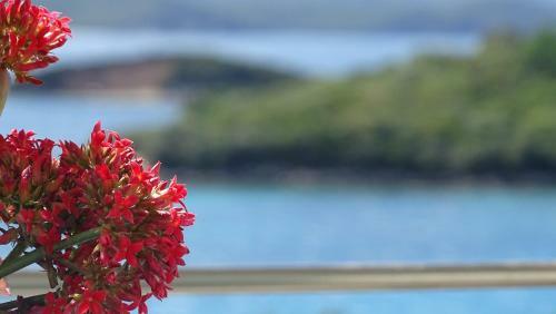 Hotel Queen Margaret Seaside