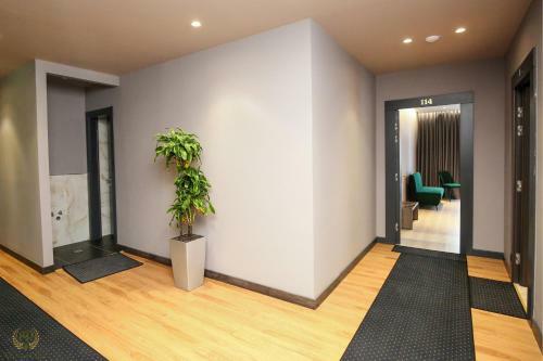 Hotel Olive