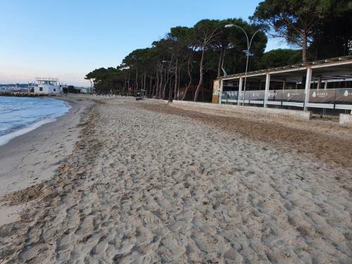 Beach House