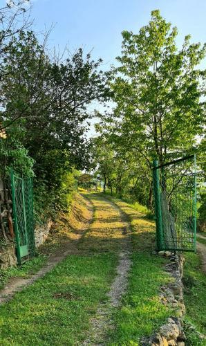 Green Zone Camping And Guest House