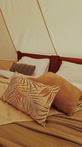 Wow Glamping