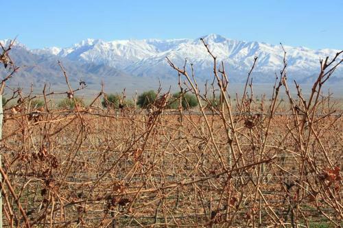 Mendoza Apart Sun & Wine!