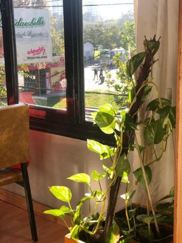 Hotel Emma�s