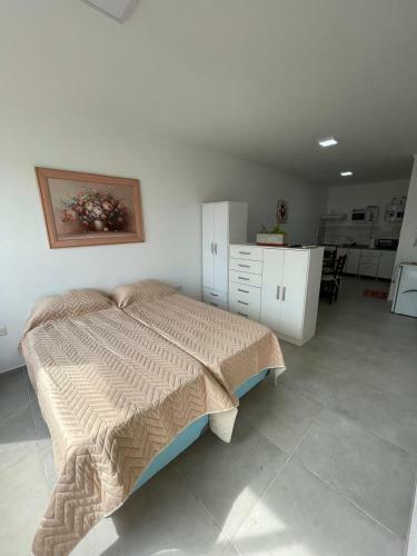 Apartamento Amplio Monoambiente C�ntrico