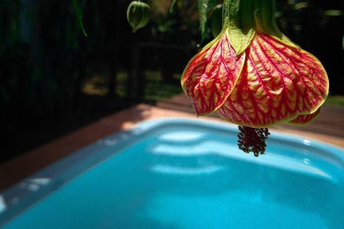 Apart Hotel Cataratas