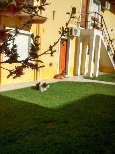 Apartamento Amien Patagonia