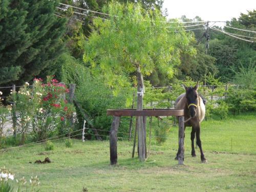 Bed & Breakfast El Sendero de Consuelo Pueyrredon G�iraldes