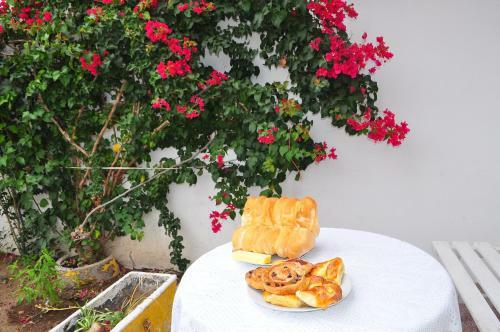 Alquiler Por D�a Octopus