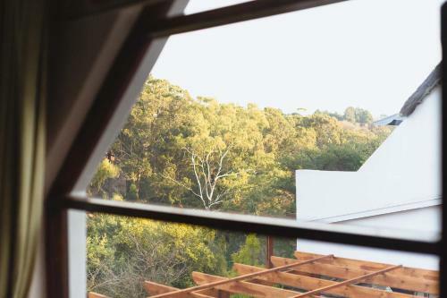 Hostal Coral Tree Inn