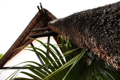Hostal Coral Tree Inn