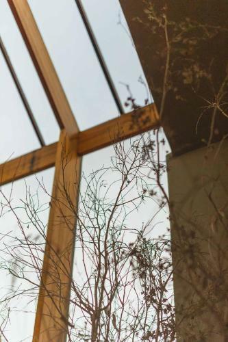 Hostal Coral Tree Inn