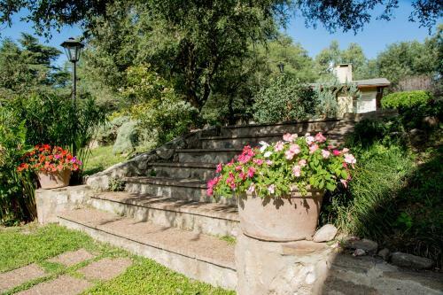 Lodge Caba�as Del Arroyo