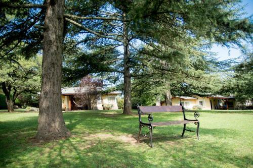 Lodge Caba�as Del Arroyo