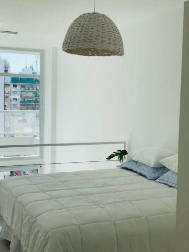 Apartamento Oasis En El Barrio - Loft Increible!