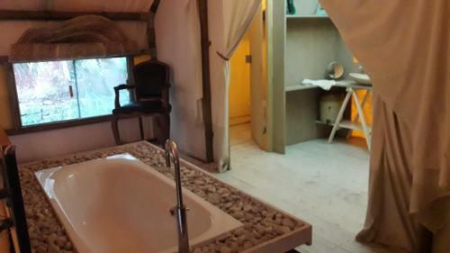 Suites & Tent Experience