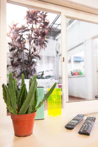 Palermo Soho Group House