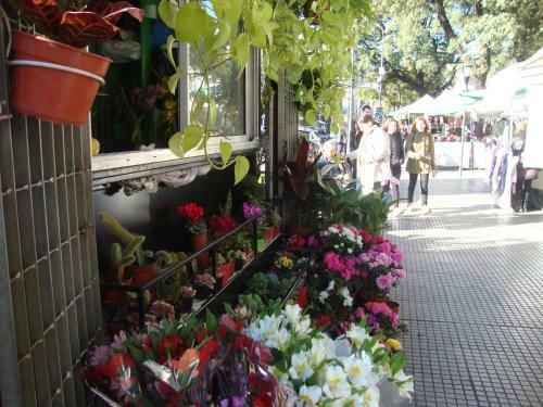 Apartamento En Belgrano C - 2 Dormitorios