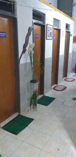 Hostal Hostel Congreso