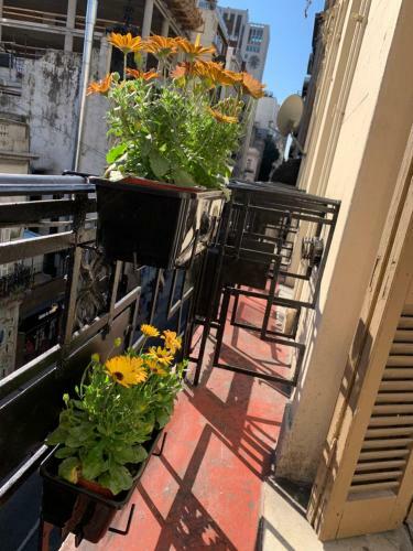 Apartamento Flora?s House