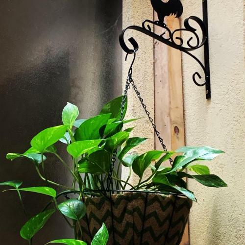 Apartamento Departamento Per�n