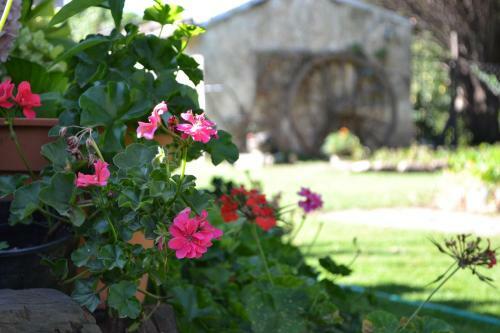 Posada Caba�as Los Relinchos