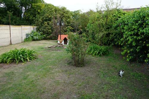 Apartamento Carhue Alquiler