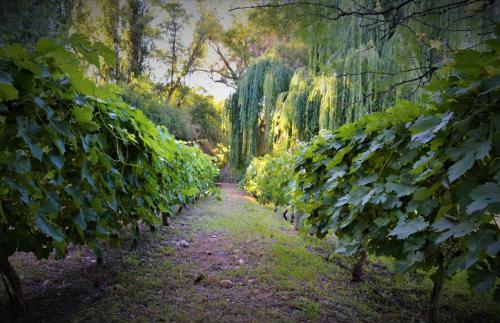 Lodge Estancia Del Olivo