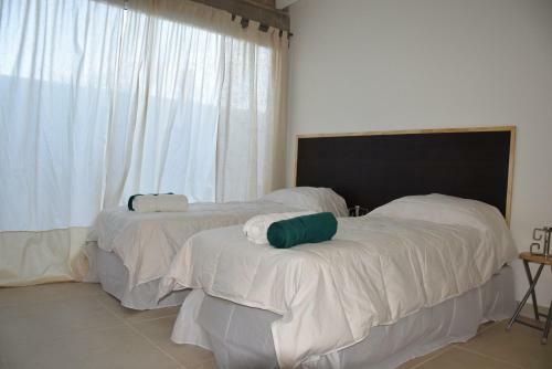 Apartamento Cactus
