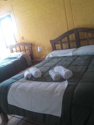 Bed & Breakfast Newen Posada