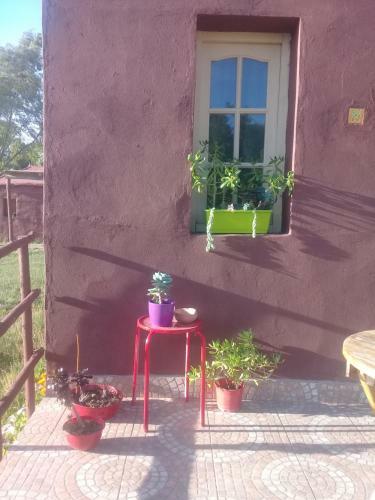 Habitacion Privada,pleno Campo,a 800 Mts.del Centro de Humahuaca